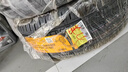 马牌（Continental）汽车轮胎 255/55R19 111Y UCJ 适配蔚来ES6/奥迪Q7大众途昂 实拍图