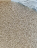 太粮猫牙米10斤 长粒籼米丝苗米 大米5kg 当季新米 自营【金榜认证】 实拍图