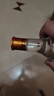 五粮浓香五粮液股份出品小酒浓香型45度100ml日常口粮酒 45度 100mL 1瓶 实拍图
