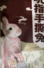 大嘴先生香辣手撕兔1000g 麻辣烤兔四川特产 冷吃兔 下酒菜即食源头直发 实拍图