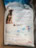 皇家狗粮 德牧幼犬狗粮 犬粮 宠物大型犬 AGS30 全价犬粮 2-15月 12KG 实拍图