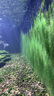 离草刮刮卡刮刮乐奖励刮刮卡 卡通刮刮卡涂层贴自制diy积分卡教师学习成长激励 100张 实拍图