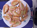 豪鲜品生鲜 丹麦熊 北极甜虾头籽头膏熟冻即食元宝虾冰虾 净重1.5kg 80-100规格 80%头籽率 3斤(净重) 实拍图