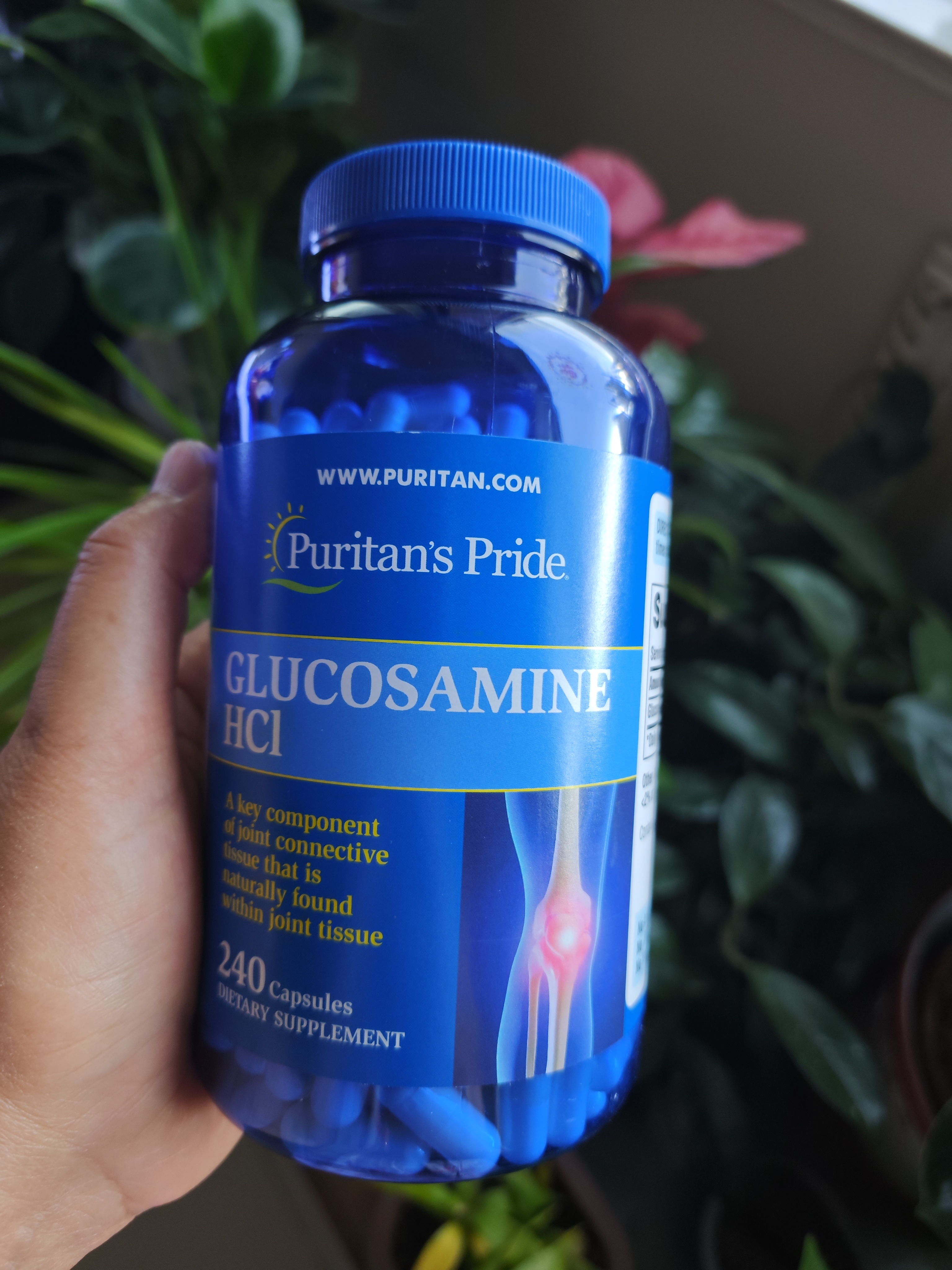 普丽普莱盐酸氨糖成人日常护膝预防磨损老人关节养护680mg*240粒美国进口 实拍图