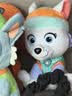 汪汪队立大功（PAW PATROL）毛绒玩具陪睡玩偶经典款珠珠小号坐姿公仔男女孩儿童生日礼物 实拍图