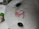 熊猫熊大小熊猫玩偶公仔毛绒玩具娃娃儿童男孩生日礼物女同学成都纪念品 实拍图