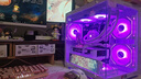 华硕（ASUS）ROG全家桶14代酷睿i5/i7台式电脑主机5060Ti/5070游戏电竞黑神话三角洲直播设计水冷整全套海景房 单主机【六年质保+全套键鼠豪礼】 四：14代酷睿i5丨1T丨RTX506 实拍图