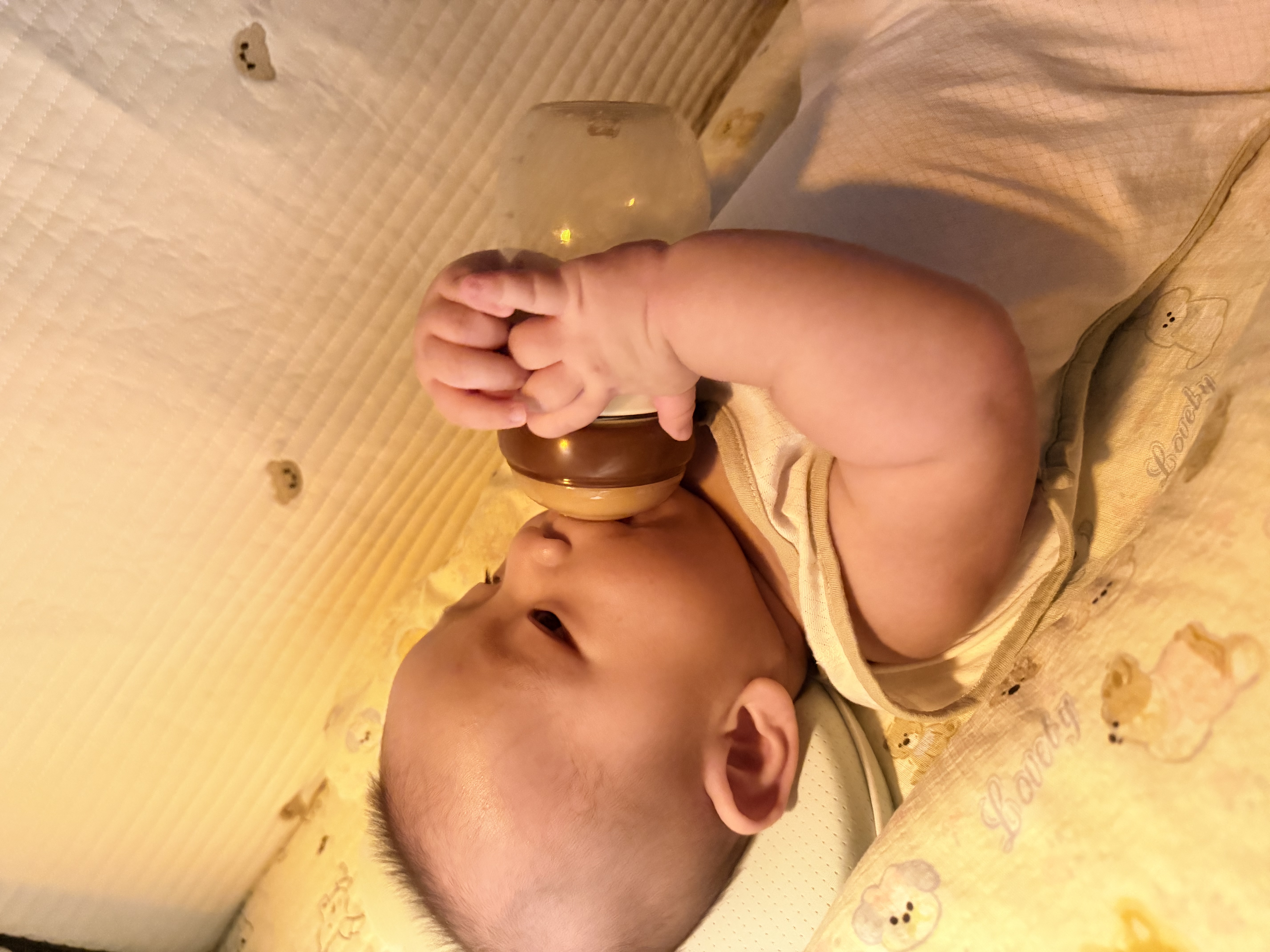 a2奶粉紫白金澳版A2蛋白幼儿配方奶粉 1段3罐 马年礼盒【批批严检】 实拍图