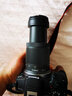 佳能（Canon）RF-S 55-210mm F5-7.1 IS STM 半画幅微单变焦镜头 防抖中远摄 人像风光观鸟 实拍图