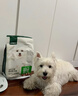 网易严选犬粮 小型犬酸奶狗粮幼成犬通用 促进消化 50g*2 实拍图