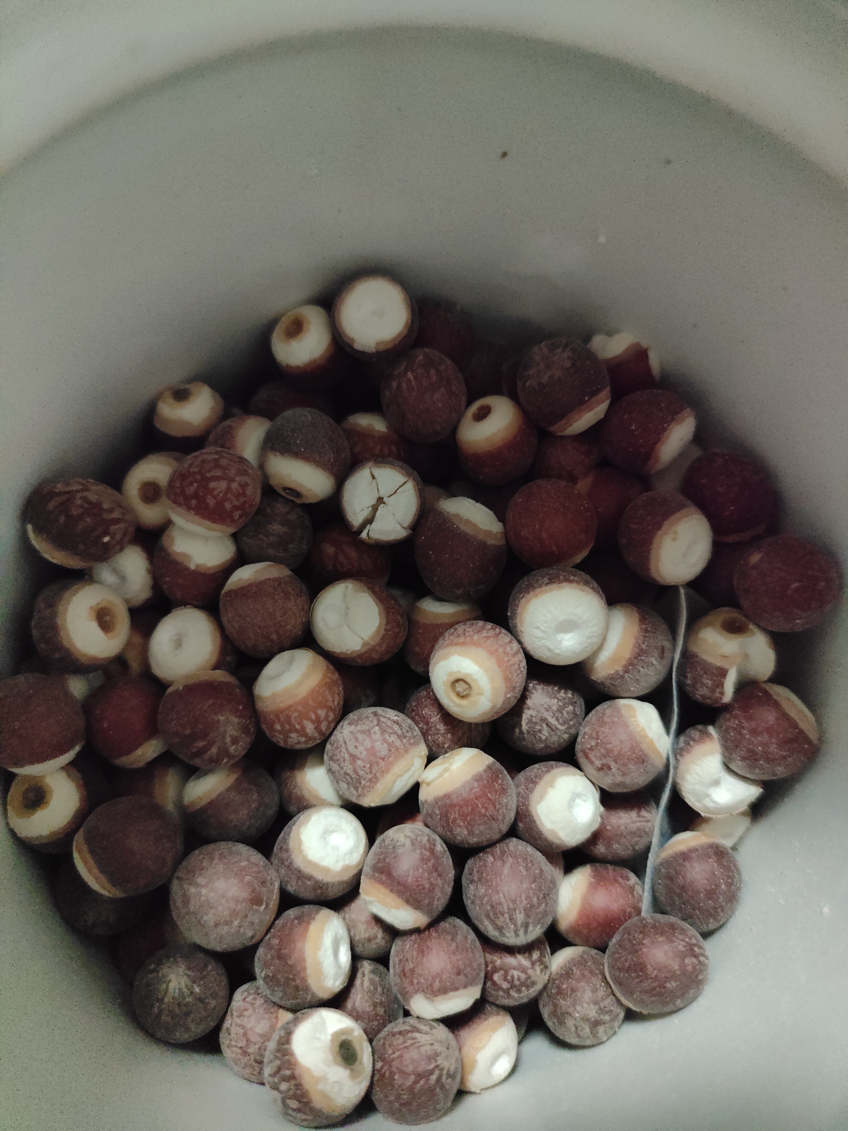 同仁堂品牌北京同仁堂芡实500g可磨粉莲子茯苓山药芡实汤材料非中药材 实拍图