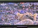 开博尔 高清线2.1版光纤hdmi线4k240hz 3D视频连接线 电视电脑功放显示器投影仪连接线无损信号传输 8米 实拍图