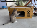 疯狂的主人猫抓板耐磨不掉屑剑麻猫窝猫房子替换芯瓦楞纸猫屋立式贴墙猫玩具 实拍图