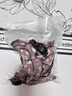 达派（dapai）德国真空封口机家用商用干湿两用全自动抽真空包装真空食品保鲜机塑封机抽腊肉真空封口 店长推荐【干湿两用】下单享袋子 实拍图