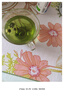 特级胎菊菊花清热去火无熏硫甄选胎菊王清香菊花茶养生茶泡水胎菊 胎菊 10g*1袋 试用装【慎拍】 实拍图