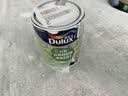多乐士（Dulux）绿色家居京绽竹炭抗甲醛五合一净味环保小桶乳胶漆 补墙漆 A8146P 1L单桶可调色（不可退换） 1L*1件 实拍图