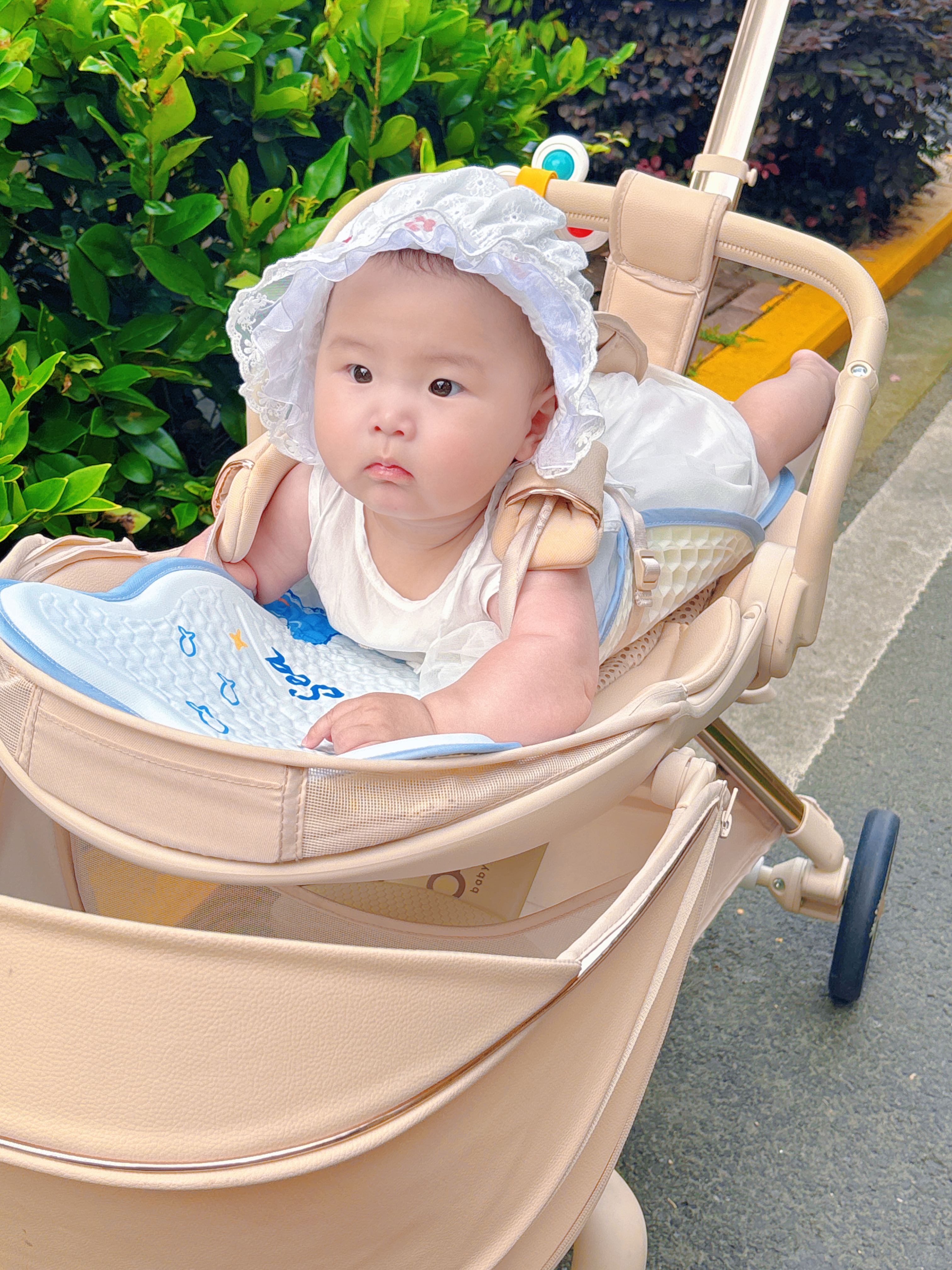 爱宝适婴儿推车凉席坐垫蜂窝凝胶宝宝餐椅坐垫安全座凉垫快乐鲸鱼S770 实拍图