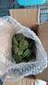 宠物零食兔子提摩西草磨牙草饼 龙猫荷兰猪豚鼠苜蓿草粮食 35个 实拍图