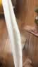 芬腾内裤女2条装免穿内裤防走光纯棉10A抑菌安全裤平角打底短裤女 实拍图