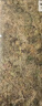 德沃多水苔约12L(一级)营养土爬宠乌龟冬眠蝴蝶兰君子兰花苔藓青苔盆栽 实拍图