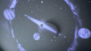 万火星空小夜灯满天星卧室投影灯新款氛围灯睡眠灯星空顶床头灯高级感 实拍图