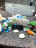 森森（SUNSUN）鱼缸底砂玻璃砂鱼缸装饰造景彩色水族箱造景石鱼缸底沙石头 海蓝玻璃腰果500g 晒单实拍图