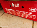 笑厨（XIAOCHU）西红柿块252g*12罐【0添加剂】配料新鲜西红柿块调味酱番茄罐头 实拍图