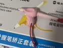 猫太子防勾腕握笔器小学生正姿自动铅笔幼儿园初学者控笔训练器写字纠正握笔姿势矫正器 实拍图