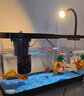 阔庭（KUOTING）鱼缸水族箱生态桌面鱼缸新款懒人鱼缸过滤制氧一体黑色【特大号】 实拍图