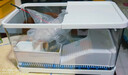 阔庭（KUOTING）鱼龟混养缸乌龟专用缸升降爬台家用客厅办公室生态造景过滤缸黑色 实拍图