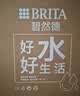 碧然德（BRITA）过滤净水器 家用滤水壶 净水壶 海洋系列 去水垢专家版滤芯11枚 环保加固包装 实拍图