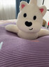 babycare新生儿床铃风铃婴儿床头铃安抚哄睡生日礼物宝宝玩具悬挂式充电款 实拍图