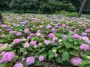 安踏儿童凉鞋女大童26夏季透气一脚蹬溯溪鞋沙滩凉鞋A22626910 实拍图