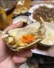 【活蟹】阳澄帝 大闸蟹鲜活  现货特大螃蟹公蟹母蟹精品礼盒装 精品六月黄3.5-3.8两 10只装 实拍图