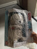 费雪（Fisher-Price）婴儿玩具安抚玩偶哄睡生日礼物-音乐安抚酣睡小水獭GHL41 实拍图