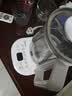 美的（Midea）【价保618】养生壶 1.5L大容量全自动煮茶壶 花茶壶烧水壶 12h恒温 煮茶器电热水壶 MK-Y12Q-Pro3 实拍图