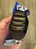 奥利奥（Oreo）夹心饼干开心果乳酪味87g 实拍图
