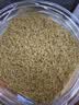 玉滋堂富硒小麦胚芽高锌金黄无加蔗糖原味即食燕麦片胚芽粉养生茶3罐装 实拍图