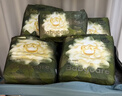 babycare金山茶花婴儿纸尿裤mini装L20片(9-14kg)尿不湿透气超薄透气 实拍图