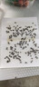 达豪苍蝇贴100张粘蝇纸灭蝇器苍蝇胶粘虫板家用诱捕器 实拍图