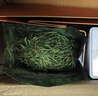 七春2026安吉珍稀白茶浙江茗茶明前白叶一号茶叶礼盒冷泡茶送礼250g 实拍图