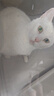 京东京造全价冻干双拼鱼肉猫粮10kg鱼肉味成猫幼猫 实拍图
