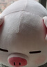 名创优品（MINISO）小猪B-BO弹力超柔趴姿公仔毛绒玩偶儿童玩具抱枕靠枕生日礼物女 实拍图