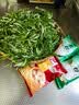 艾草新鲜食用蔬菜现摘清明草粑粑青团3斤顺丰艾叶新鲜艾草叶 【顺丰快递】 1000g 实拍图