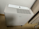 美的（Midea）54升小方物除湿机100㎡家用梅雨天抽湿机干衣机 地下室泵压上排水除湿器CF54BS/DA (支持鸿蒙智联) 实拍图