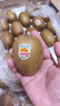 佳沛（zespri）新西兰 阳光金奇异果30-33粒原箱单果103-124g 猕猴桃水果礼盒 实拍图