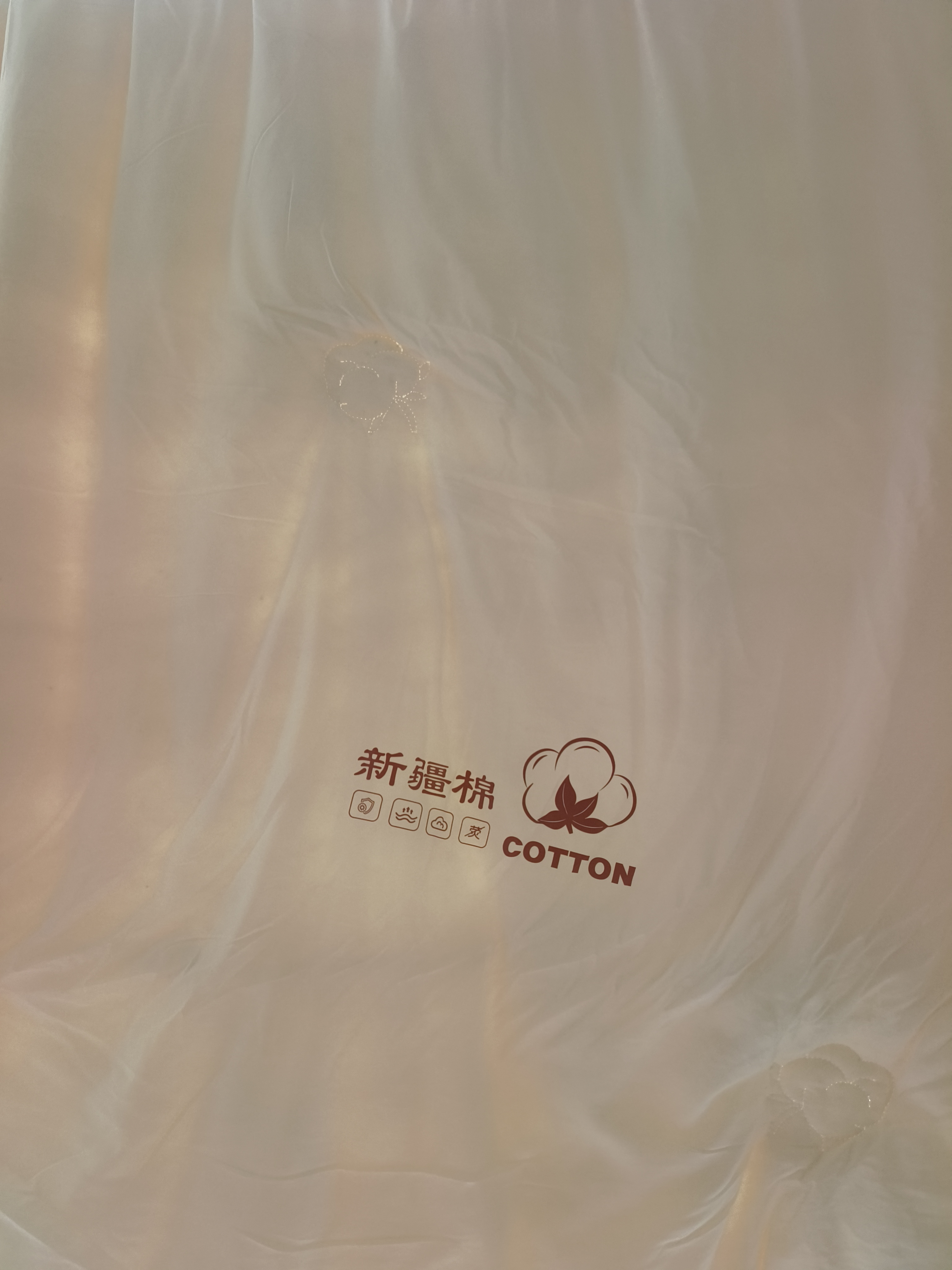 无印良品A类100%棉花被 新疆棉纯棉被芯学生宿舍四季春秋被子4斤150*200cm 实拍图