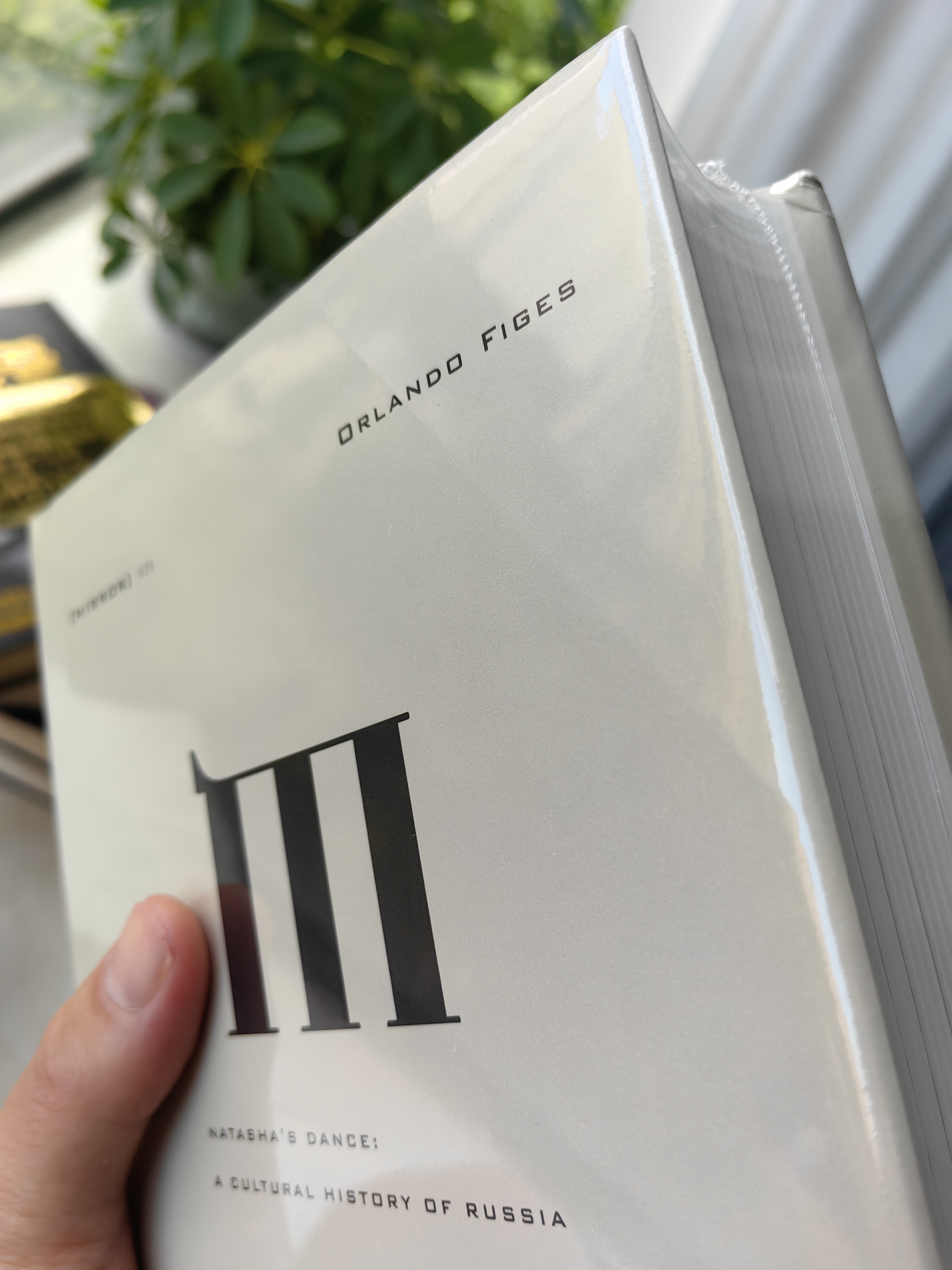 理想国译丛025·娜塔莎之舞：俄罗斯文化史 实拍图