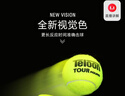 天龙（Teloon）网球比赛训练习用球高弹耐磨P4 TOUR pound  实拍图