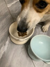 麦富迪狗粮 藻趣儿狗粮成犬粮牛肉螺旋藻 均衡营养2.5kg 实拍图